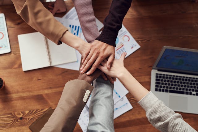 Expert-Led Financial Courses